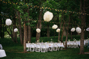 Outdoor reception amidst palm trees