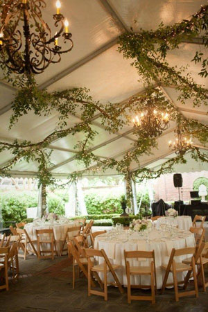 Outdoor reception with chandaliers and vines sprawled across the ceiling